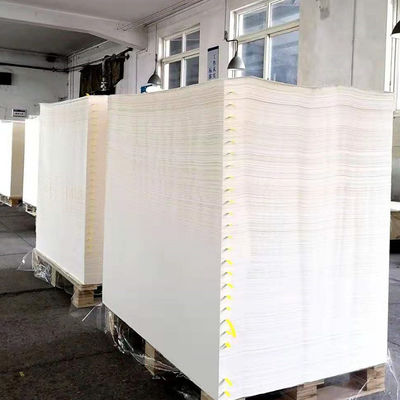 Harga yang bagus Kertas Decal Melamin dengan Ketahanan Pemudar Tinggi untuk Pencetakan Transfer Kiss Cut on line